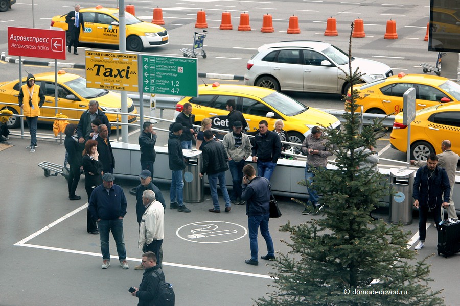 Таксисты в аэропорту